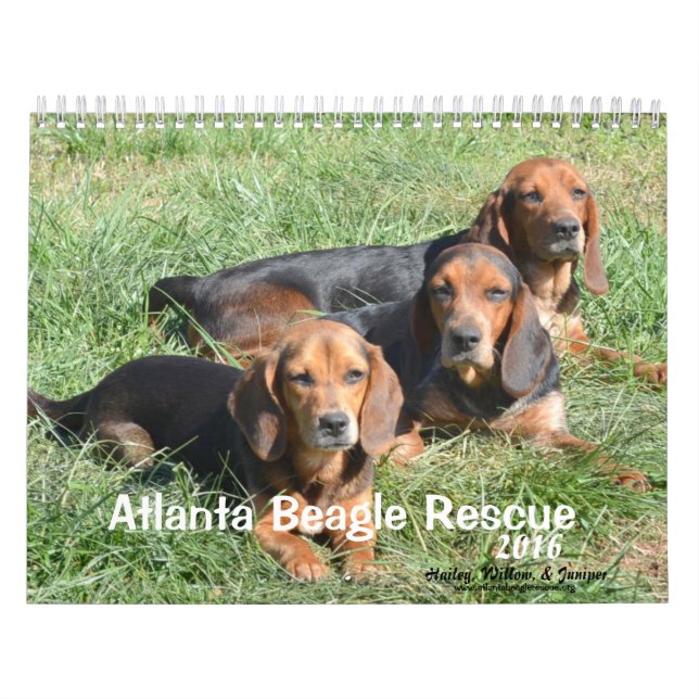 Kalender der Atlanta-Beagle-Rettungs-2016 (Titelbild)