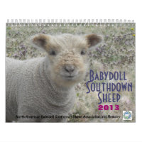 Kalender der Babydoll-Southdownschafe 2013 NABSSAR