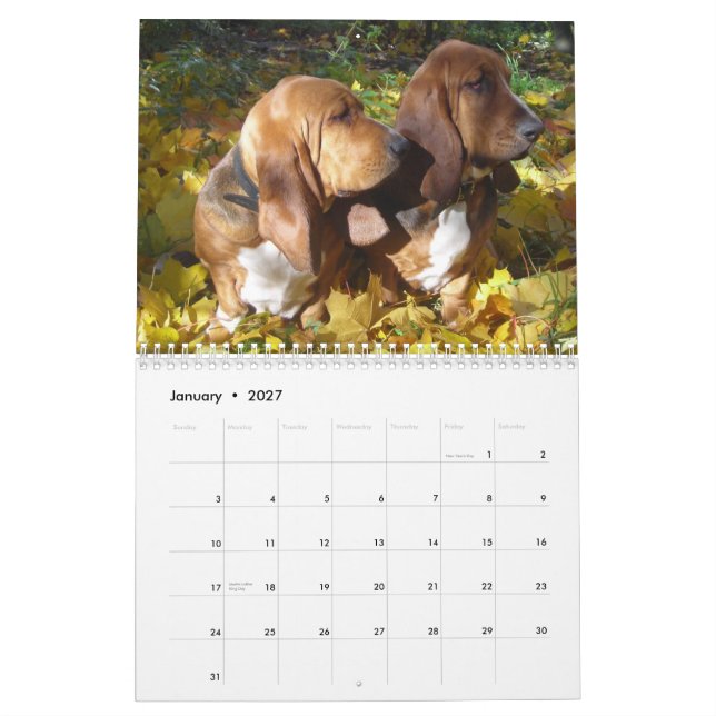 Kalender der Basset-2012 (Jan 2027)