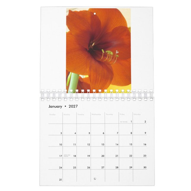 Kalender der Blumen-2013 (Jan 2027)