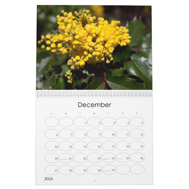 Kalender der Blumenexplosion 2024 (Dez 2026)