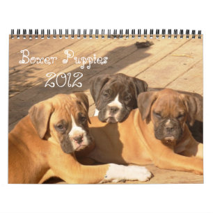 Kalender der Boxer-Welpen-2012