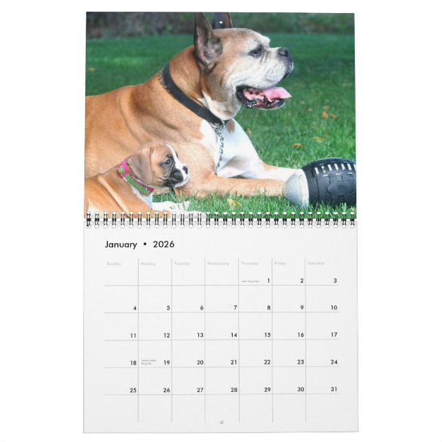 Kalender der Boxer-Welpen-2015 (Jan 2026)