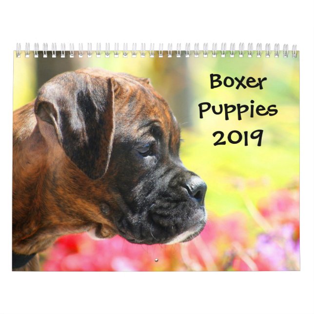 Kalender der Boxer-Welpen-2019 (Titelbild)