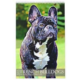 KALENDER DER FRANZÖSISCHEN BULLDOGGEN-2015
