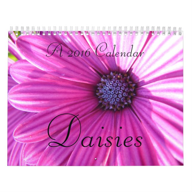 Kalender der Gänseblümchen 2016 (Titelbild)