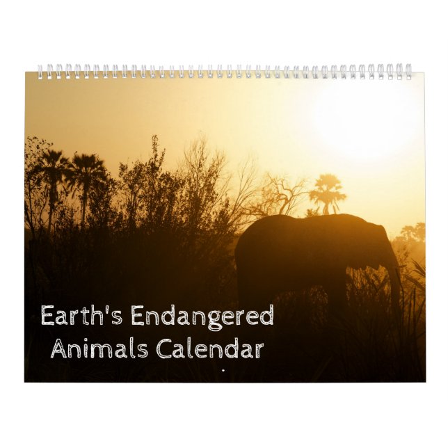 Kalender der gefährdeten Arten der Erde (Titelbild)