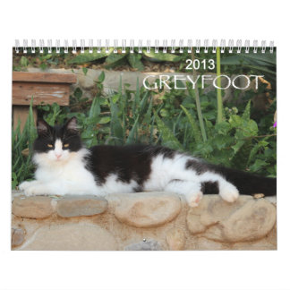 Kalender der Greyfoot Katzen-Rettungs-2013