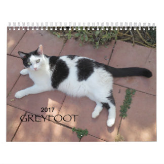 Kalender der Greyfoot Katzen-Rettungs-2017