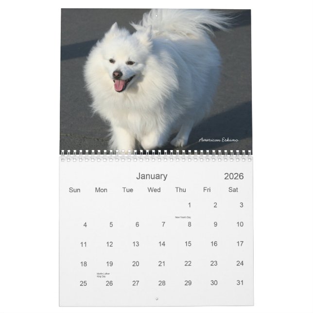 Kalender der Hund2011 (Jan 2026)