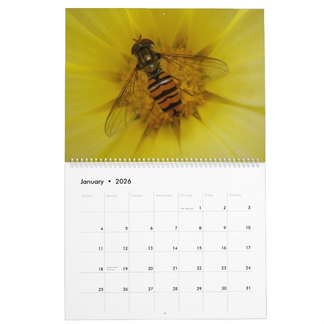Kalender der Insekten-2015 (Jan 2026)