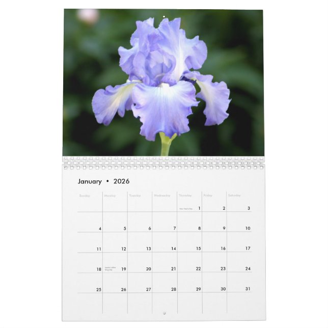 Kalender der Iris-2012 (Jan 2026)