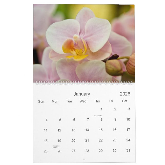 Kalender der Orchideen-2011 (Jan 2026)