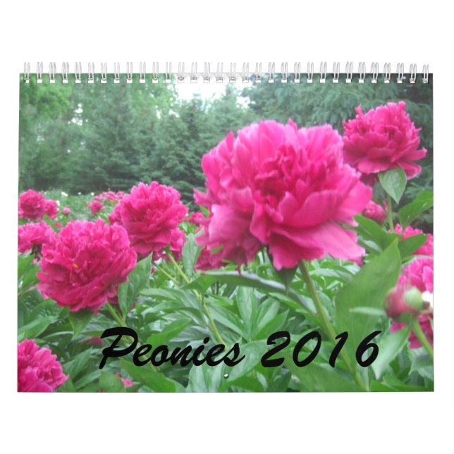 Kalender der Pfingstrosen-2016 (Titelbild)