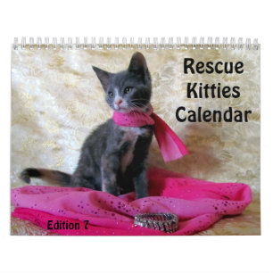 Kalender der Rettungsaktion - Ausgabe 7