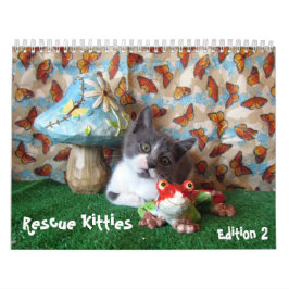 Kalender der Rettungskassette - Ausgabe 2