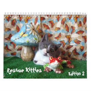 Kalender der Rettungskassette - Ausgabe 2
