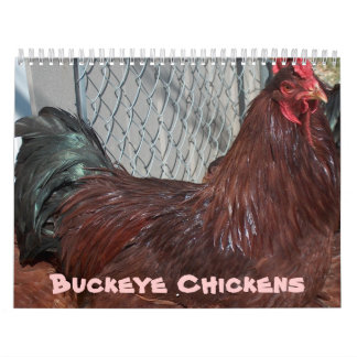 Kalender der Rosskastanien-Huhn-2013