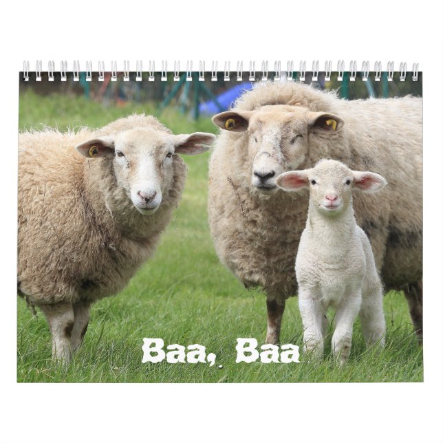 Kalender der Schafliebhaber, Schaffotos (Titelbild)