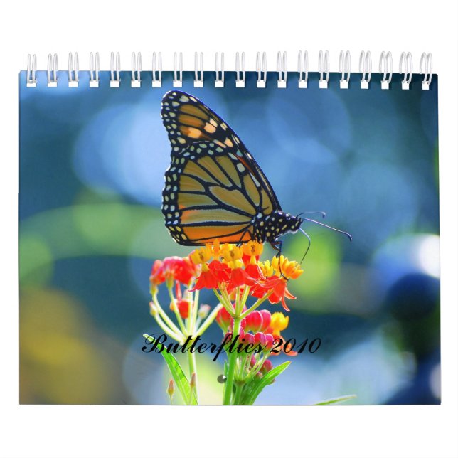 Kalender der Schmetterlings-2010 (Titelbild)