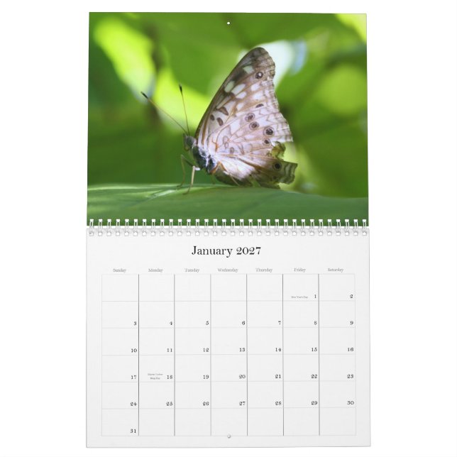 Kalender der Schmetterlings-2011 (Jan 2027)