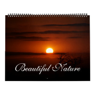 Kalender der schönen Natur der Leinwand-2011