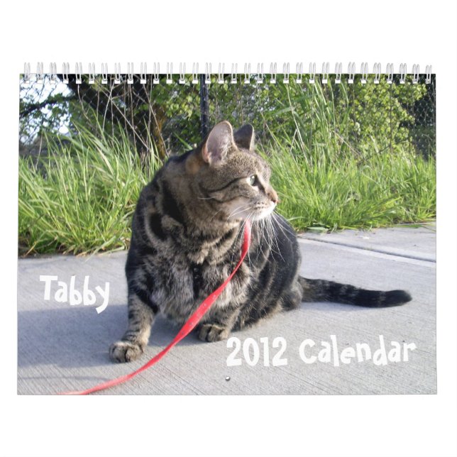 Kalender der Tabby-Katzen-2012 (Titelbild)