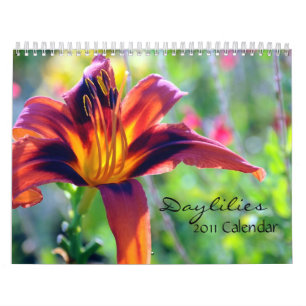 Kalender der Taglilie-2011
