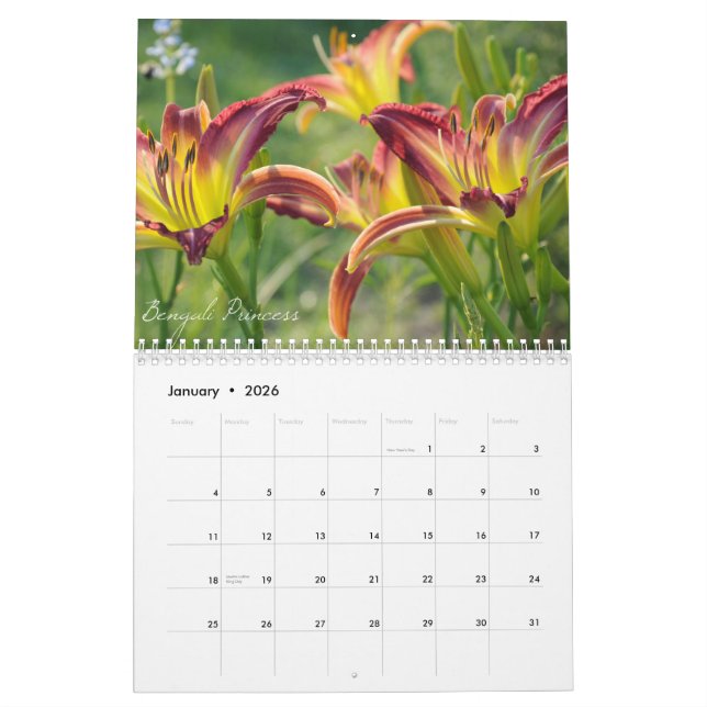 Kalender der Taglilie-2012 (Jan 2026)
