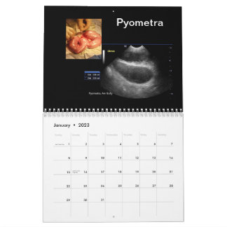 Kalender der Ultraschallbilder