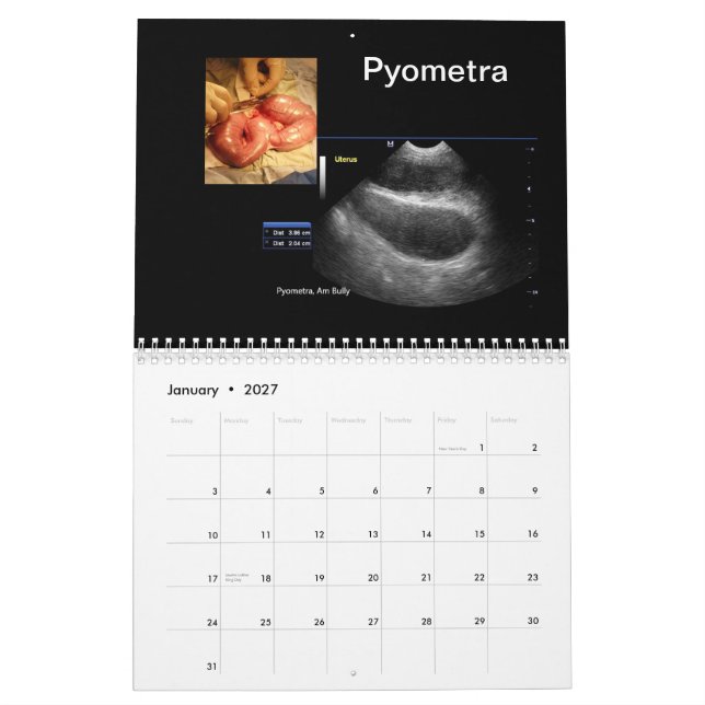 Kalender der Ultraschallbilder (Jan 2027)