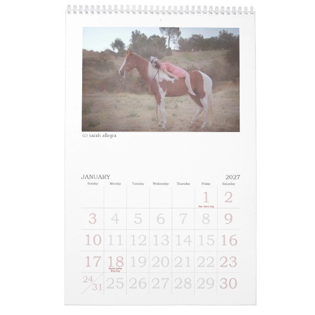 Kalender der Verwirrungs-Zeitschriften-2013 (Jan 2027)