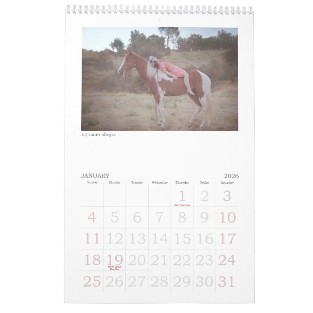Kalender der Verwirrungs-Zeitschriften-2013 (Jan 2026)