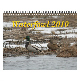 Kalender der Wasservogel-2010