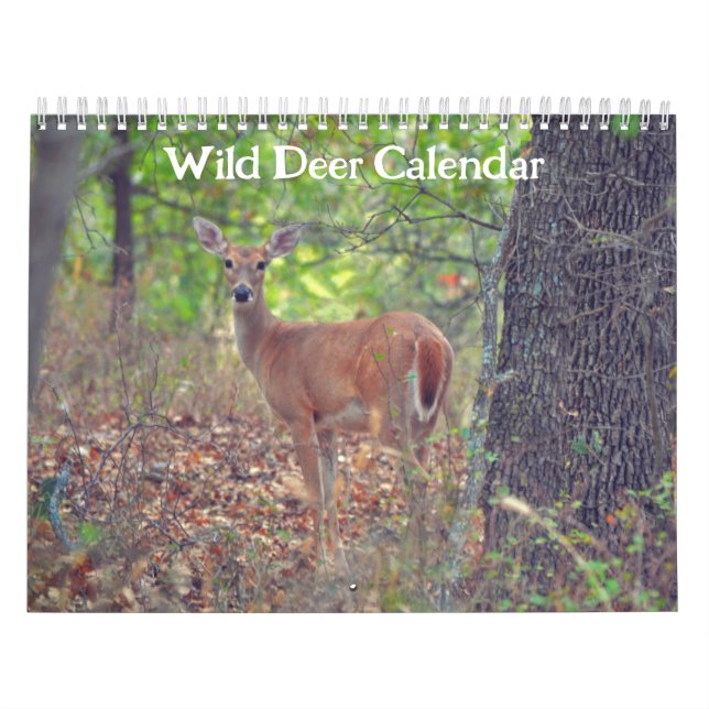 Kalender der wild lebenden Hirsche (Titelbild)