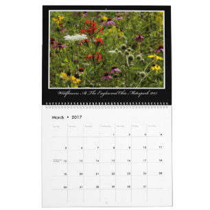 Kalender der Wildblumen-2017 durch Thomas Minutolo