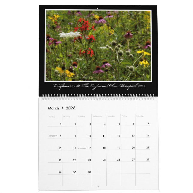 Kalender der Wildblumen-2017 durch Thomas Minutolo (Mär 2026)