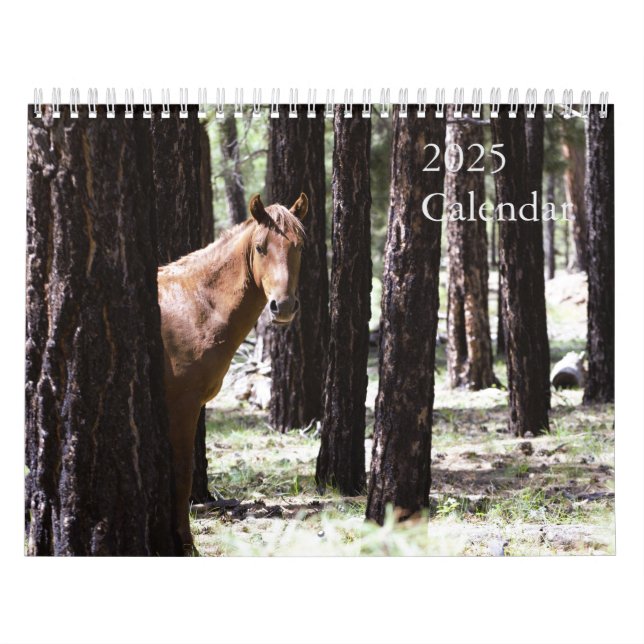 Kalender der Wilden Pferde 2025 zur Unterstützung  (Titelbild)