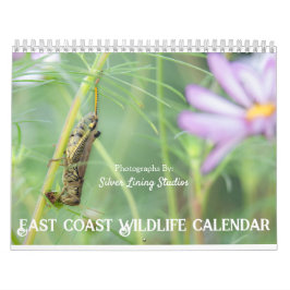 Kalender der Wildfauna an der Ostküste