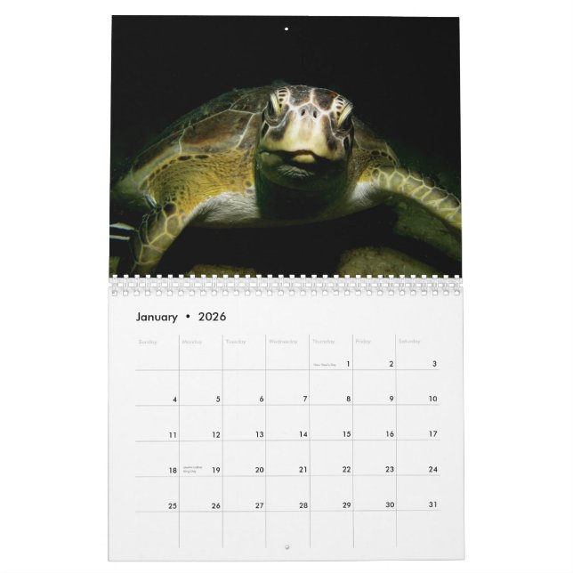 Kalender des Behälter-EIN-Los (Jan 2026)