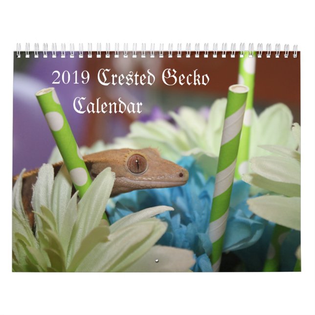 Kalender des Gecko-2019 mit Haube (Titelbild)