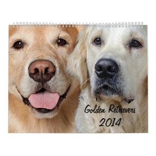 Kalender des golden retriever-2014