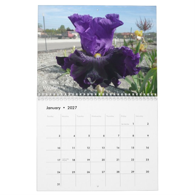 KALENDER DES IRIS-GARTEN-2012 (Jan 2027)