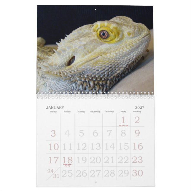 Kalender des Jaspis-2009 (Jan 2027)