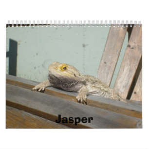Kalender des Jaspis-2009