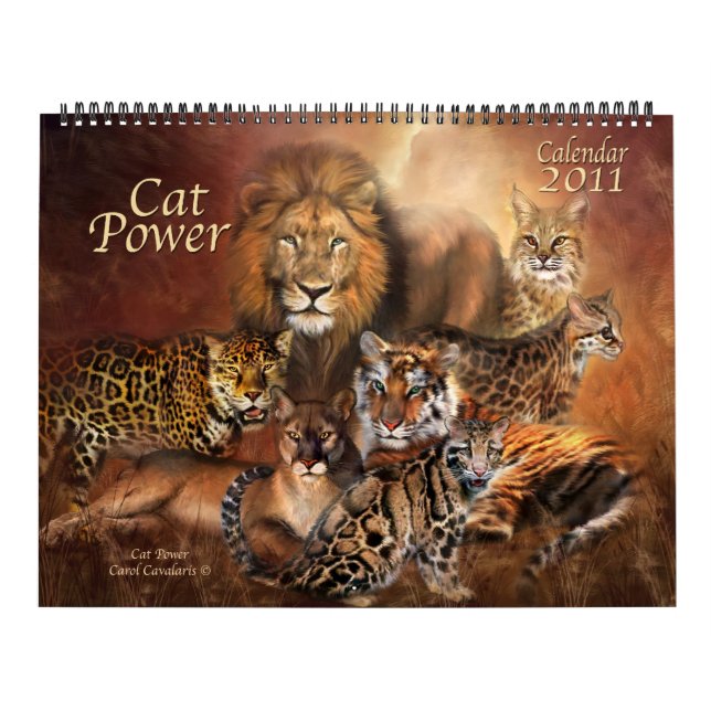Kalender des Katzen-Power-2011 (Titelbild)