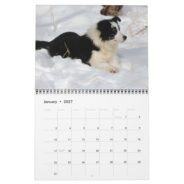 Kalender des Michigan-GrenzCollies-2012 (Jan 2027)