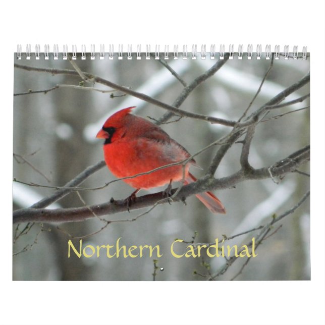Kalender des nördlichen Kardinals (Titelbild)