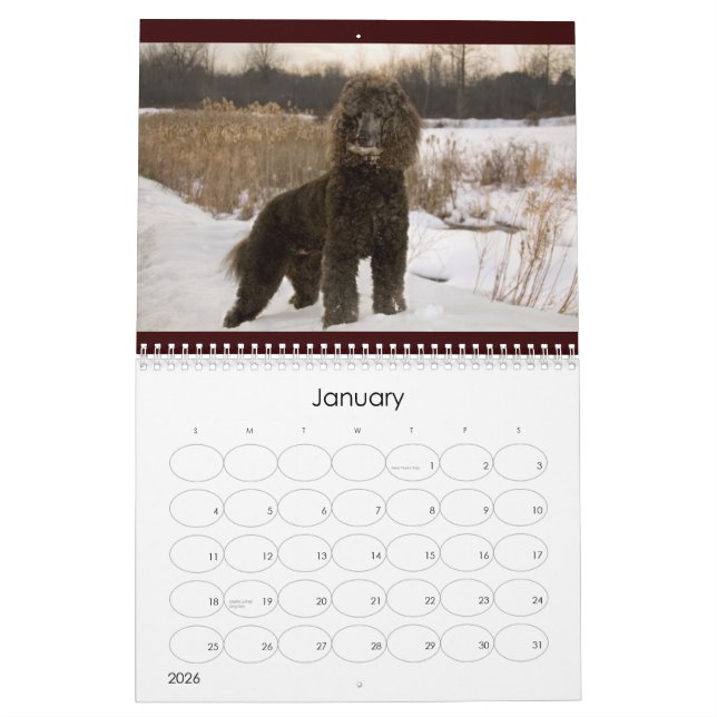 Kalender des Standardpudel-2011 (Jan 2026)