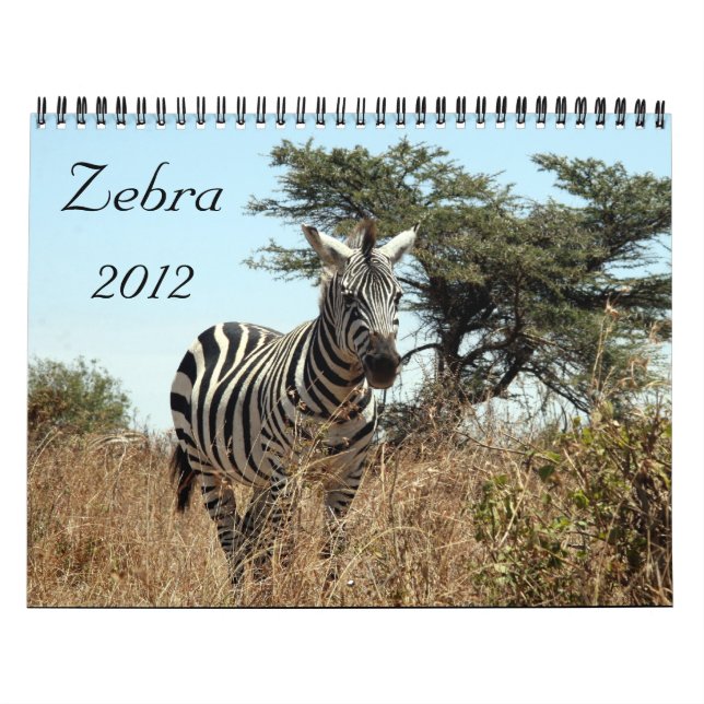 Kalender des Zebra 2012 (Titelbild)